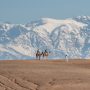 DROMADAIRE-SCARABEO-ATLAS-COUPLE